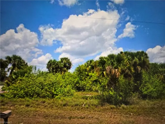 a close up of a plant