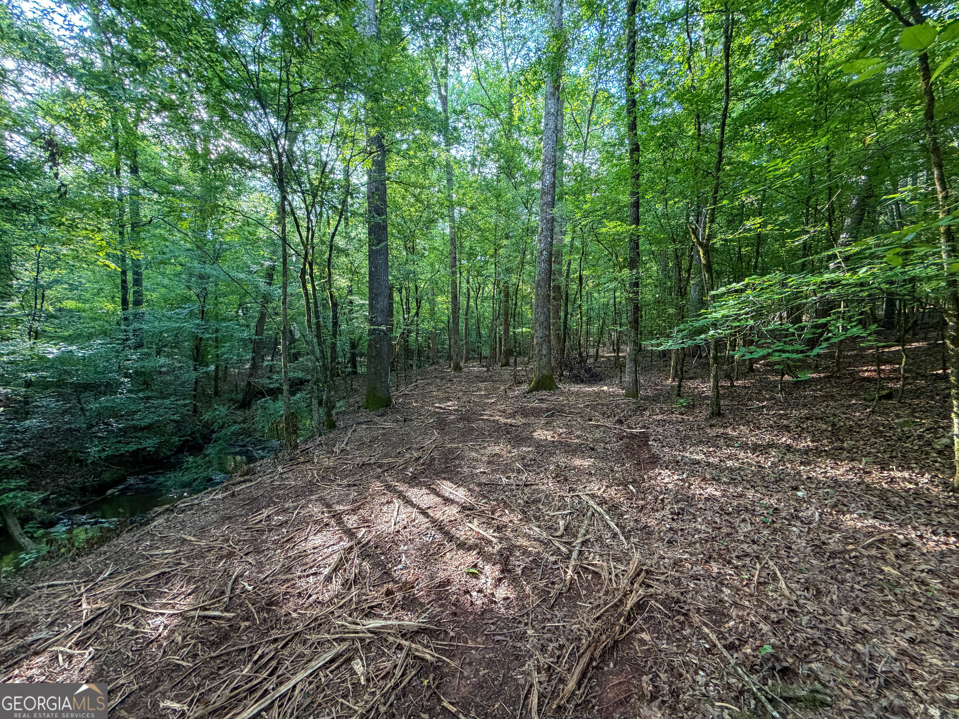 1503 McDonald Road Covington, GA 30014 - Photo 33 of 39 Gallery Image 33