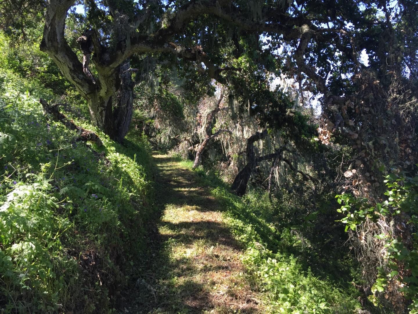 33734 Country Road Carmel Valley, CA 93924 - Photo 17 of 21 Gallery Image 17