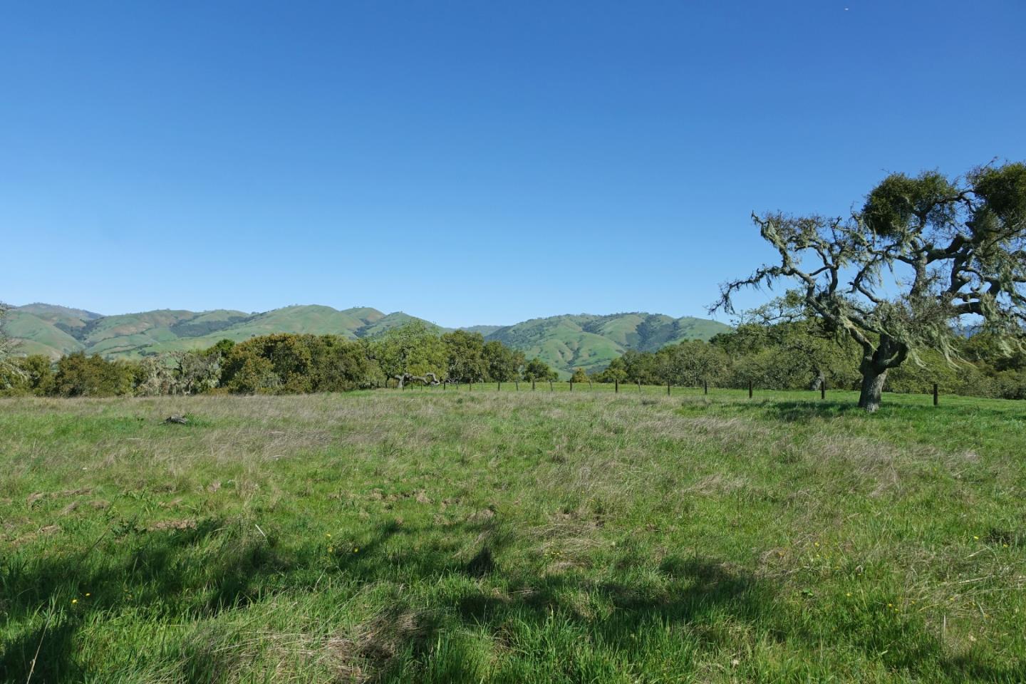 33734 Country Road Carmel Valley, CA 93924 - Photo 4 of 21 Gallery Image 4