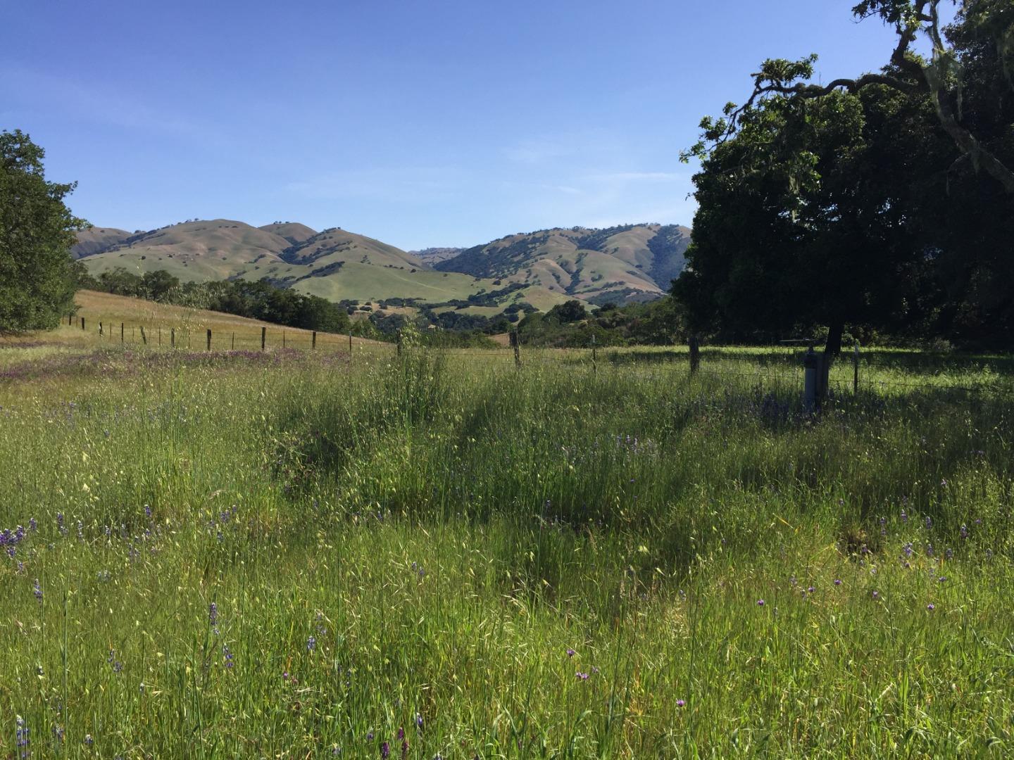 33734 Country Road Carmel Valley, CA 93924 - Photo 7 of 21 Gallery Image 7