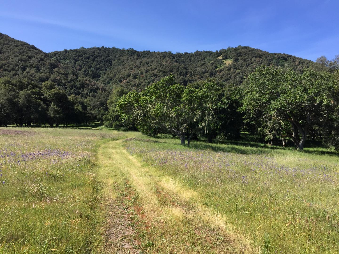 33734 Country Road Carmel Valley, CA 93924 - Photo 9 of 21 Gallery Image 9