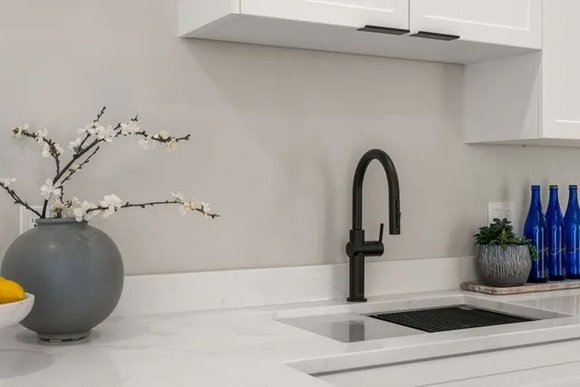 a close view of sink and a potted plant