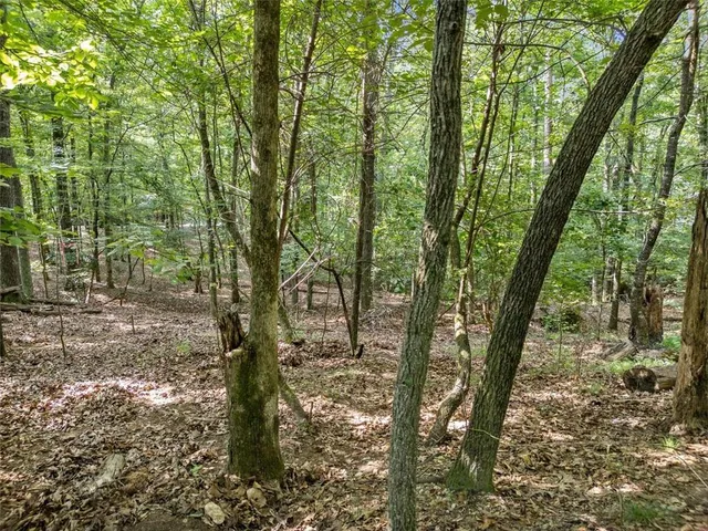 a view of outdoor space and trees