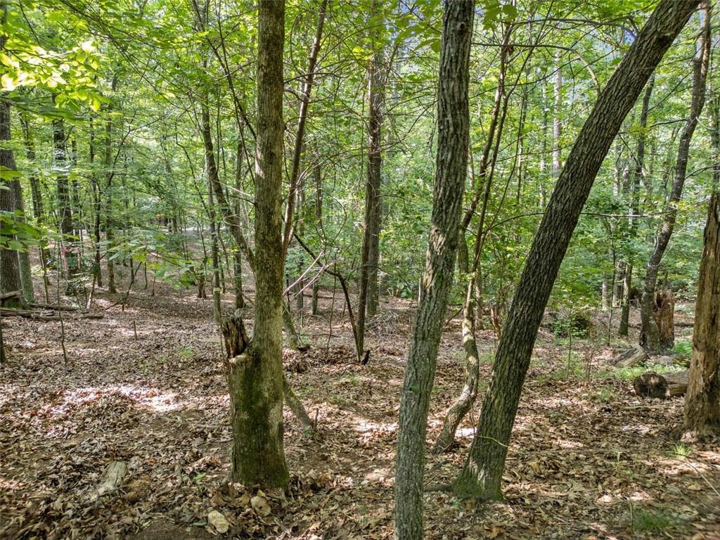 0 Kings Road Gainesville, GA 30506 - Photo 15 of 18 a view of outdoor space and trees