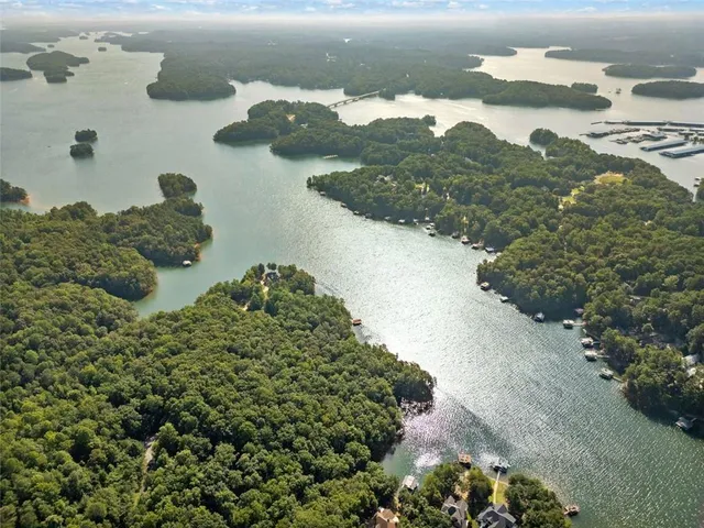 a view of a bunch of trees in the background