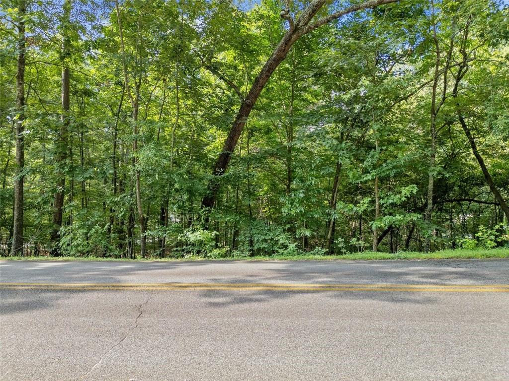 0 Kings Road Gainesville, GA 30506 - Photo 5 of 18 a view of street view