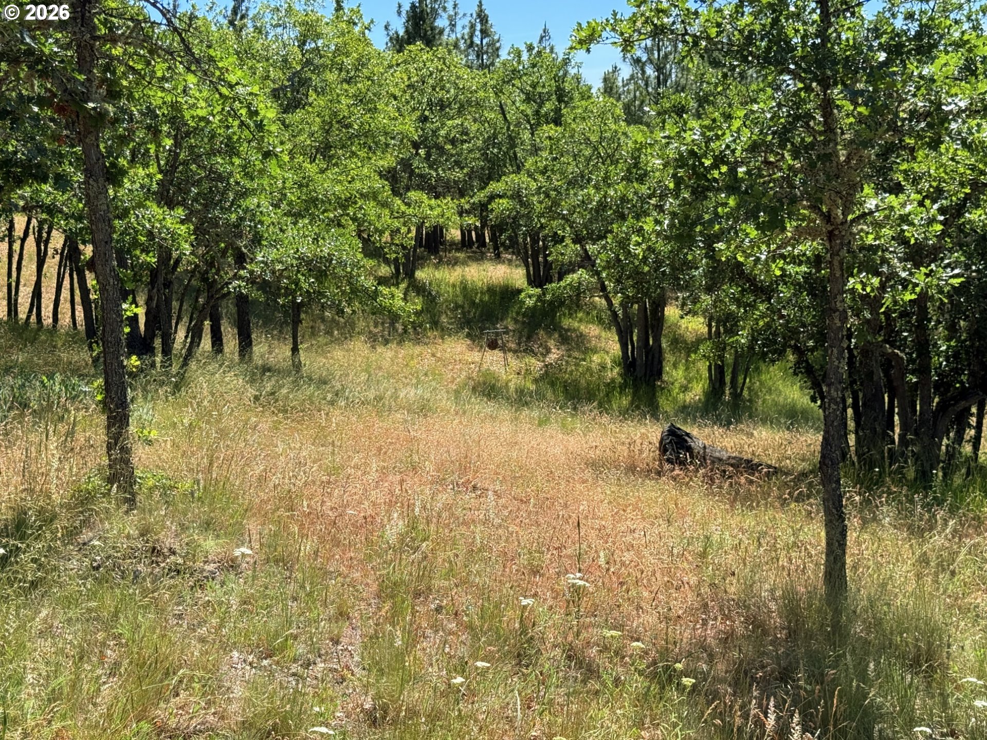 238 Chisholm Road Goldendale, WA 98620 - Photo 28 of 42
