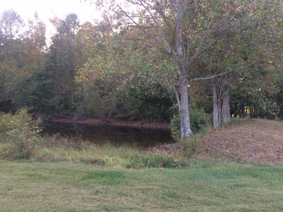 245 South Leath Road Portland, TN 37148 - Photo 17 of 19 a view of a lake with a forest