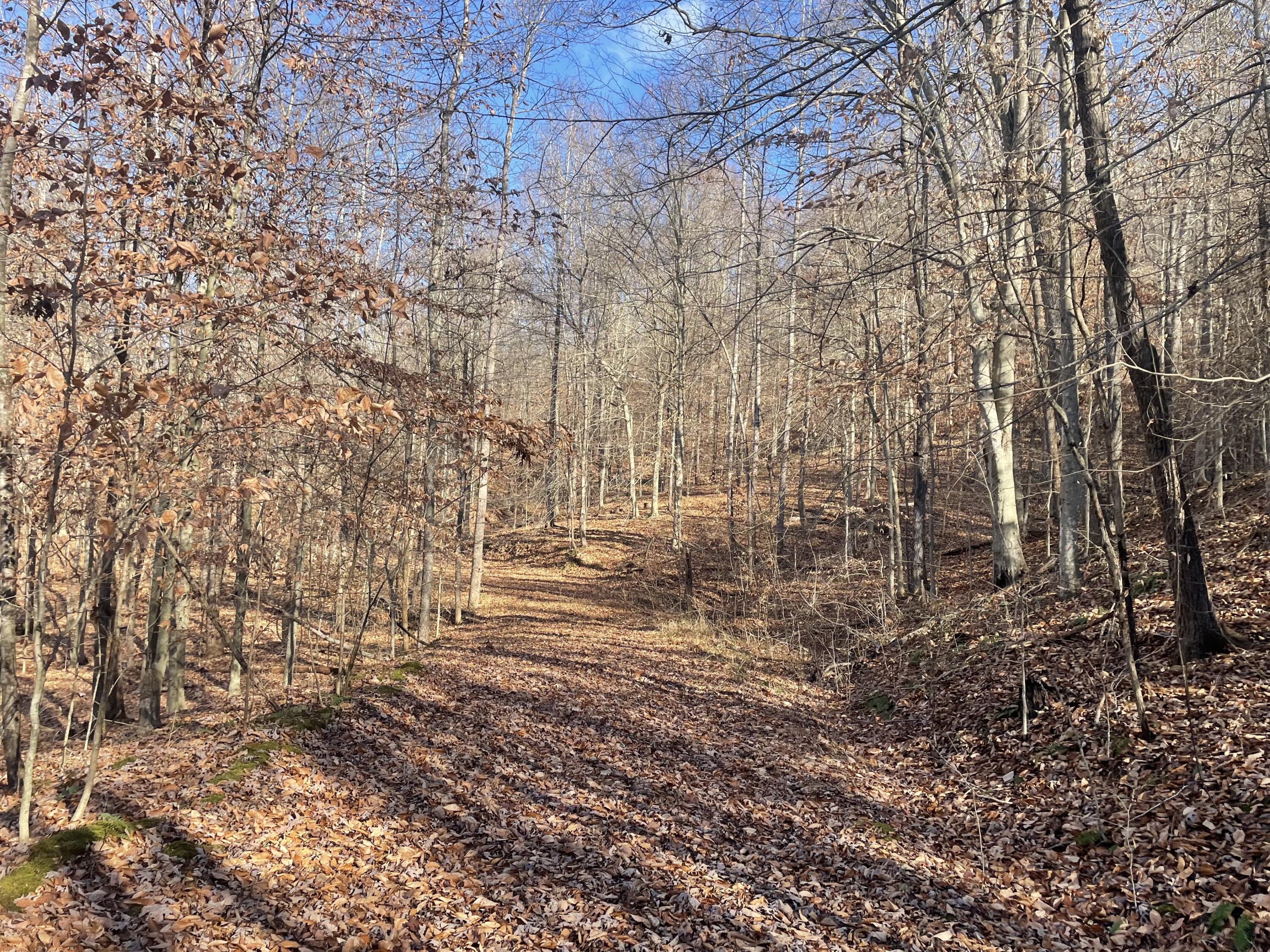 For Recreation - Hunting/ATVs
