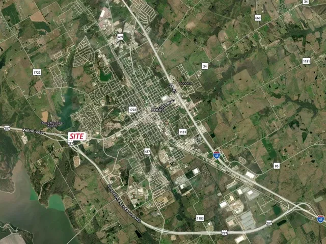 a bird view of a tree