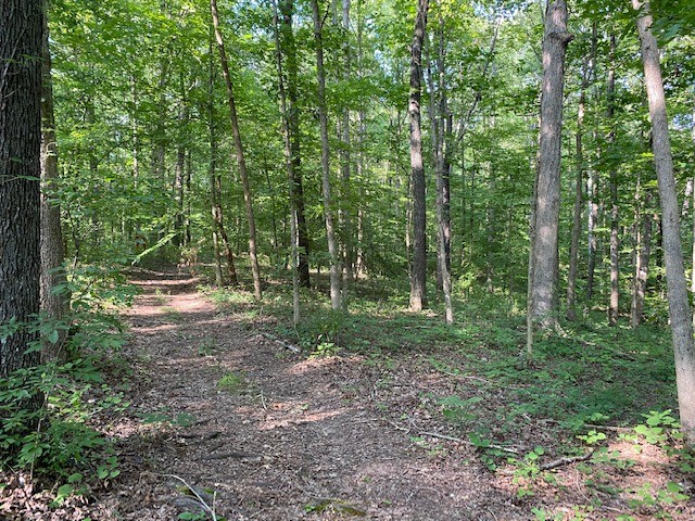 5383 Hargrove Road Franklin, TN 37064 - Photo 8 of 26 Gallery Image 8
