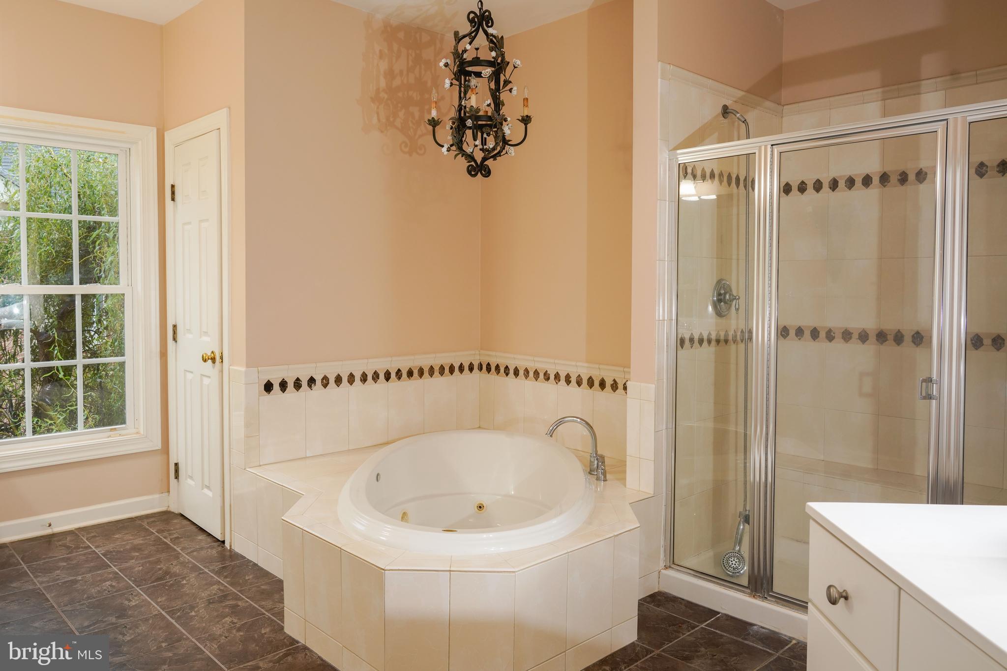 5109 Bright Owl Road Perry Hall, MD 21128 - Photo 14 of 69 Primary jetted Tub