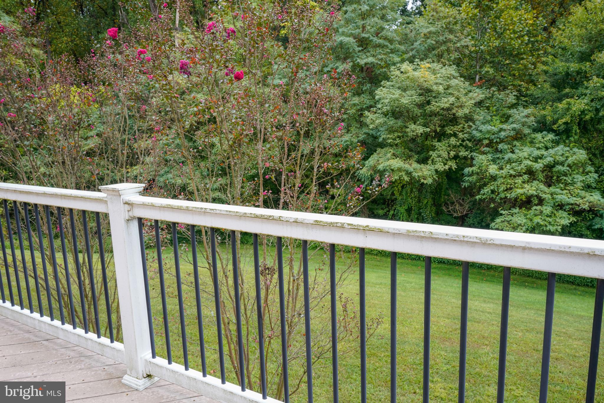 5109 Bright Owl Road Perry Hall, MD 21128 - Photo 66 of 69 Beautiful Black aluminum railings on Main Level