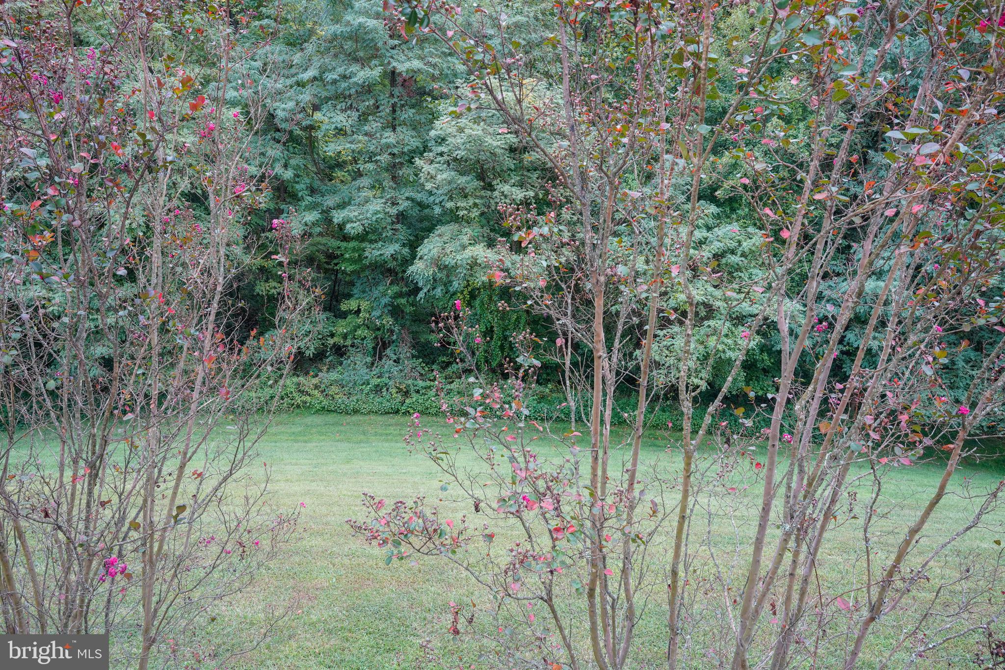 5109 Bright Owl Road Perry Hall, MD 21128 - Photo 67 of 69 Back yard View from Deck