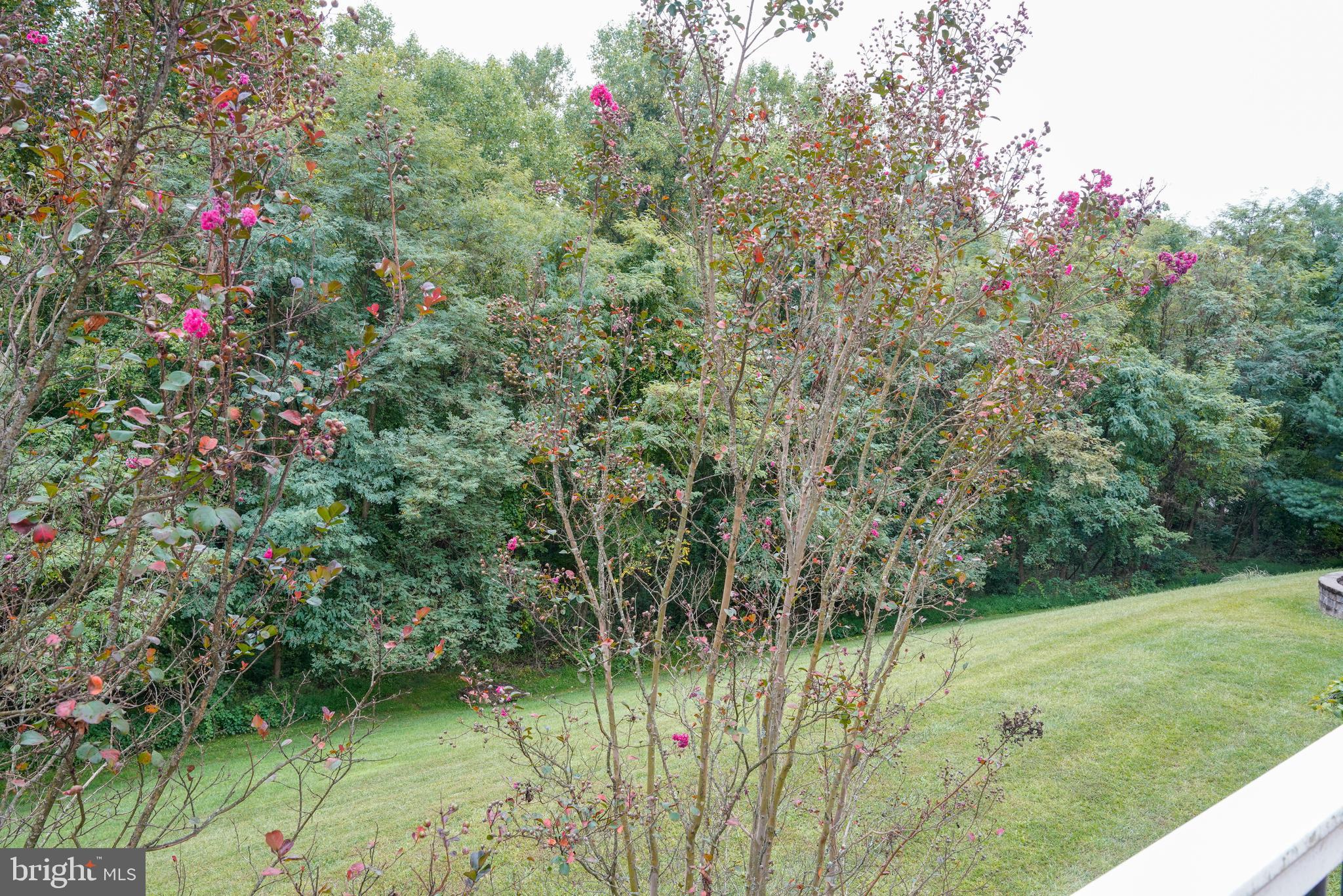 5109 Bright Owl Road Perry Hall, MD 21128 - Photo 69 of 69 Back yard view from deck