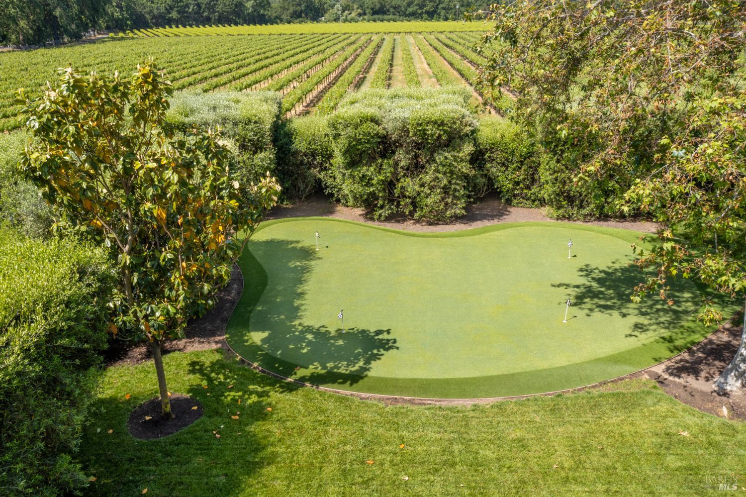 900 Rutherford Road St. Helena, CA 94574 - Photo 57 of 70