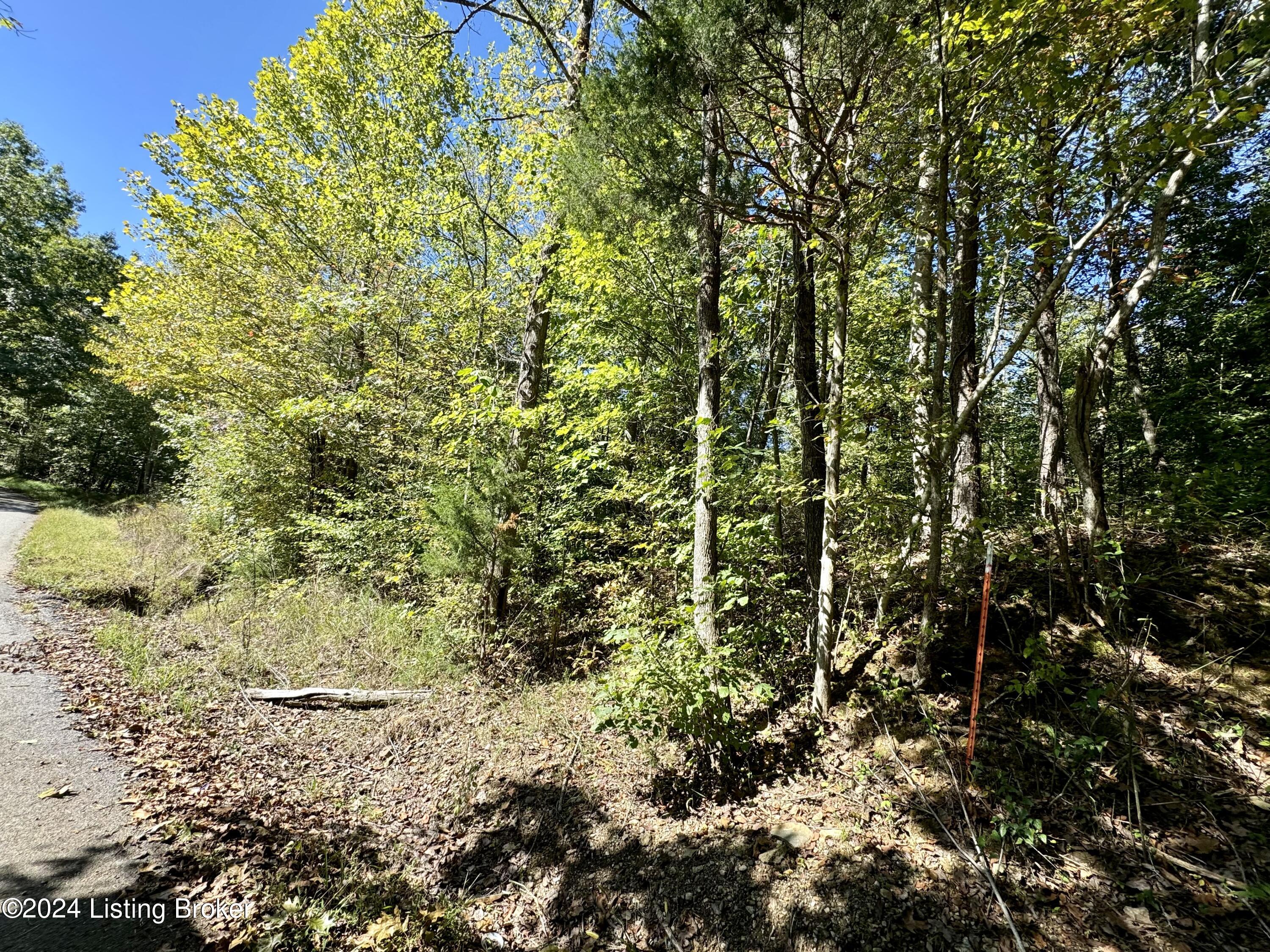 2346 Sulphur Lick Road New Hope, KY 40052 - Photo 6 of 35 IMG_0068