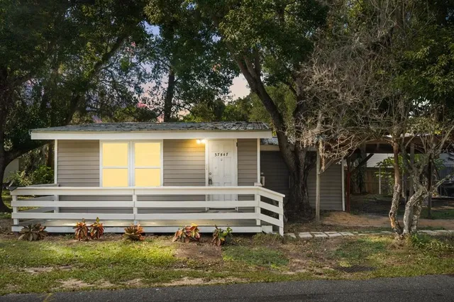 a view of backyard with a table and chairs and a large tree