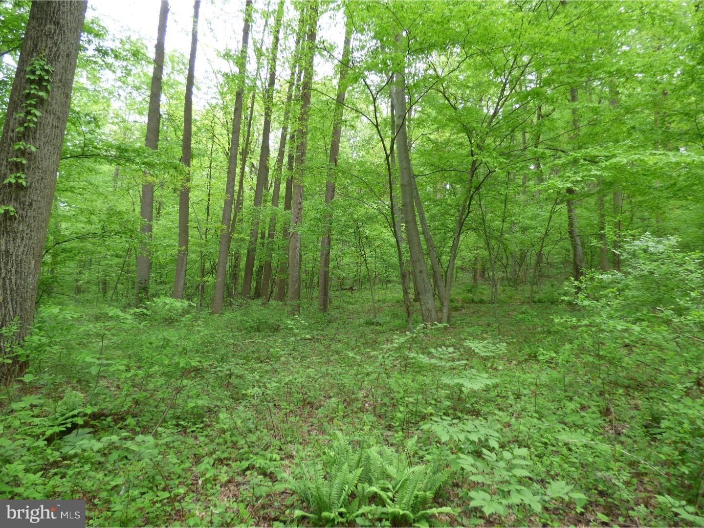 170 Iron Bridge Road Glenmoore, PA 19343 - Photo 1 of 21 Gallery Image 1