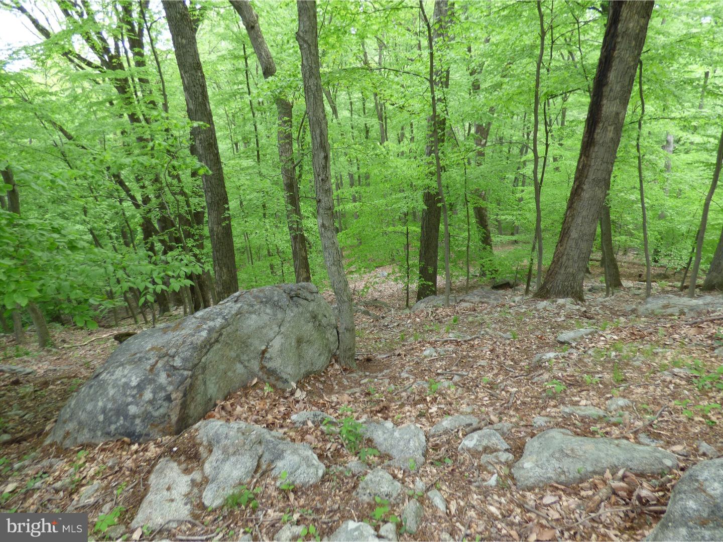 170 Iron Bridge Road Glenmoore, PA 19343 - Photo 11 of 21 Gallery Image 11