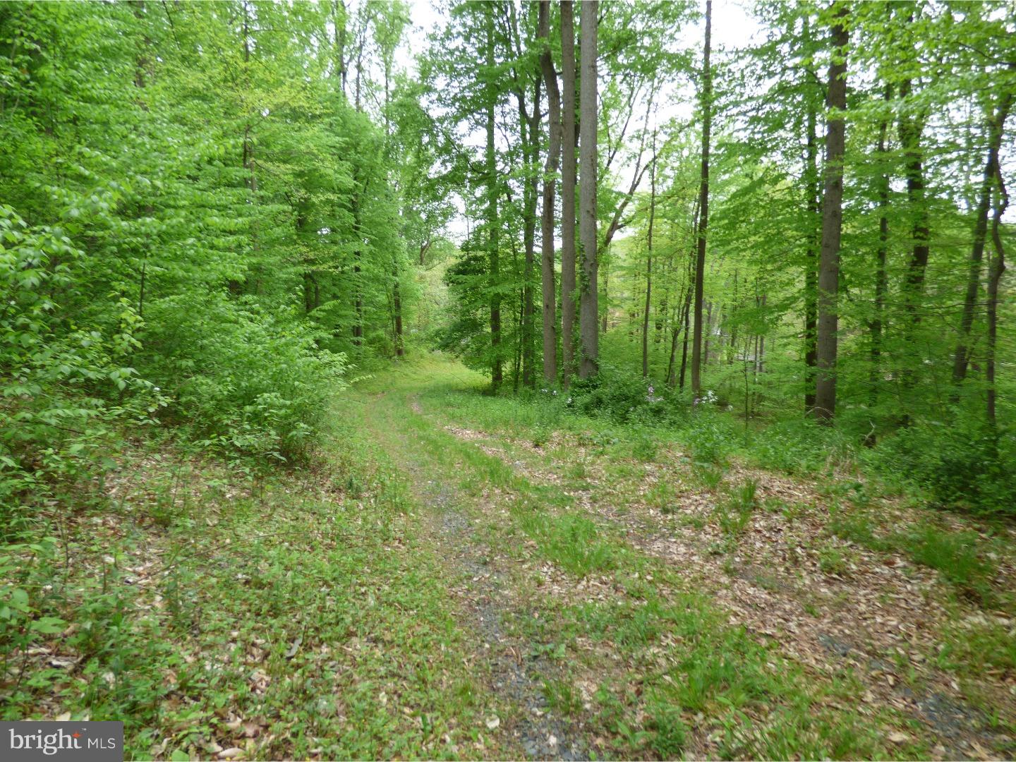 170 Iron Bridge Road Glenmoore, PA 19343 - Photo 13 of 21 Gallery Image 13