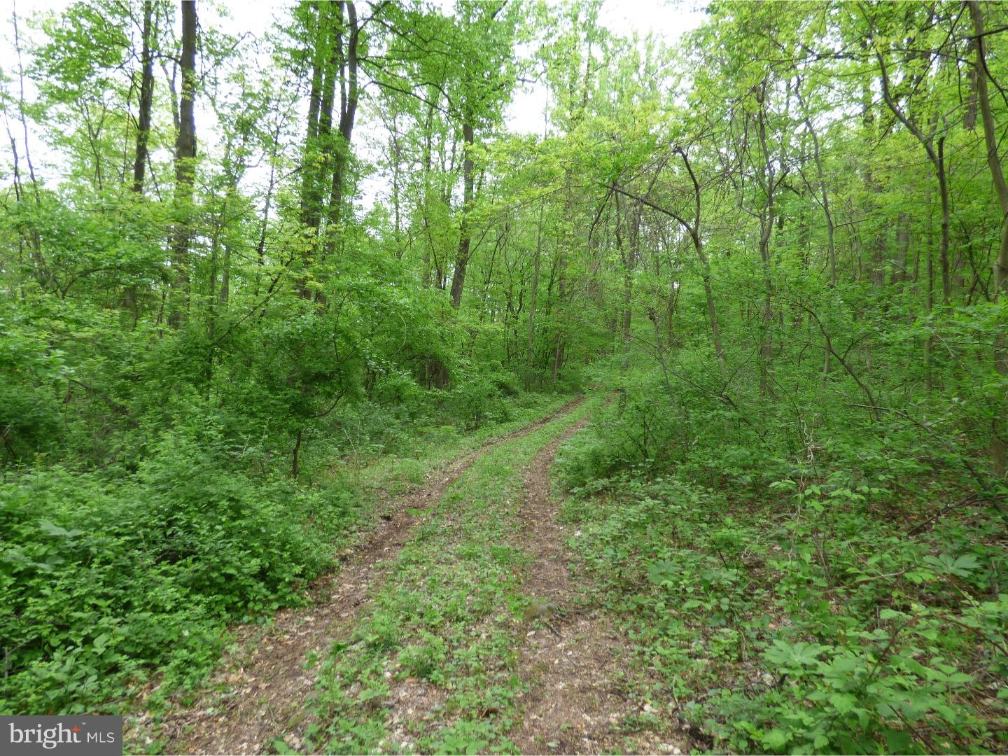 170 Iron Bridge Road Glenmoore, PA 19343 - Photo 14 of 21 Gallery Image 14