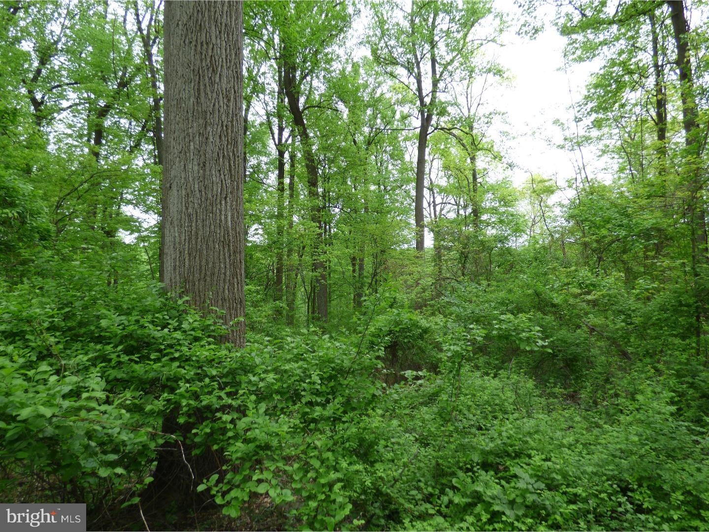 170 Iron Bridge Road Glenmoore, PA 19343 - Photo 16 of 21 Gallery Image 16