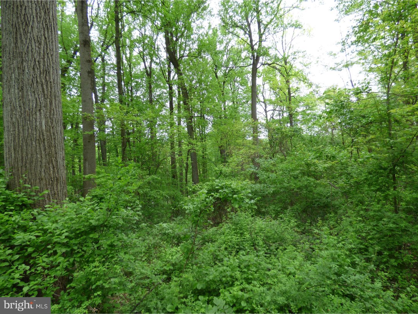 170 Iron Bridge Road Glenmoore, PA 19343 - Photo 17 of 21 Gallery Image 17