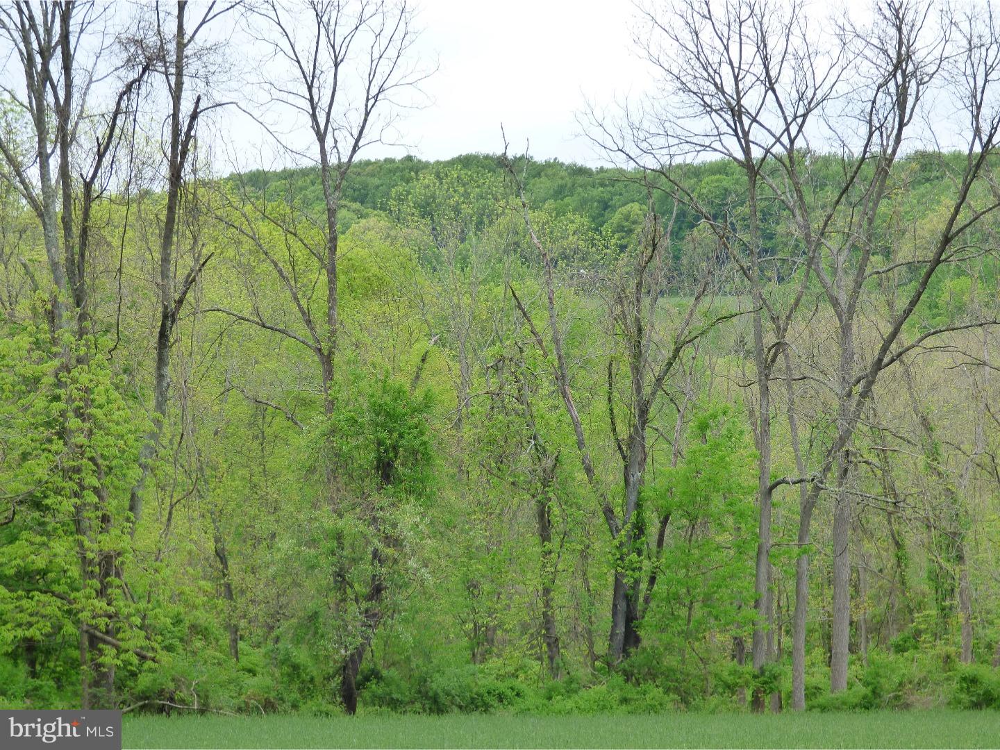 170 Iron Bridge Road Glenmoore, PA 19343 - Photo 19 of 21 Gallery Image 19
