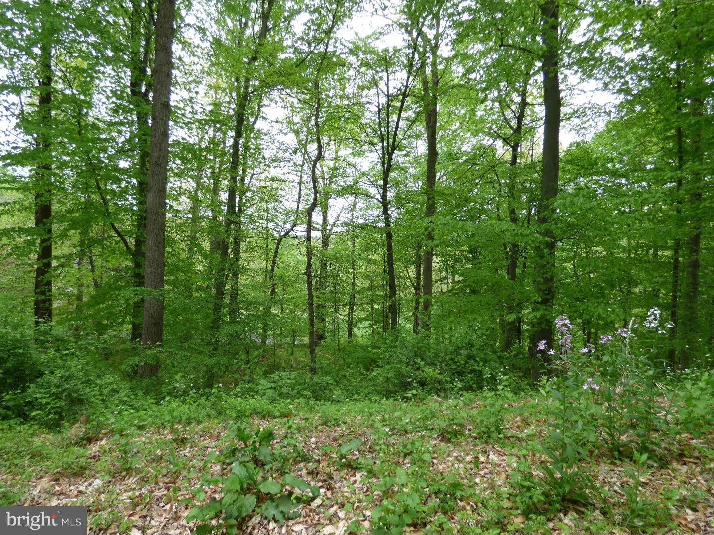 170 Iron Bridge Road Glenmoore, PA 19343 - Photo 2 of 21 Gallery Image 2