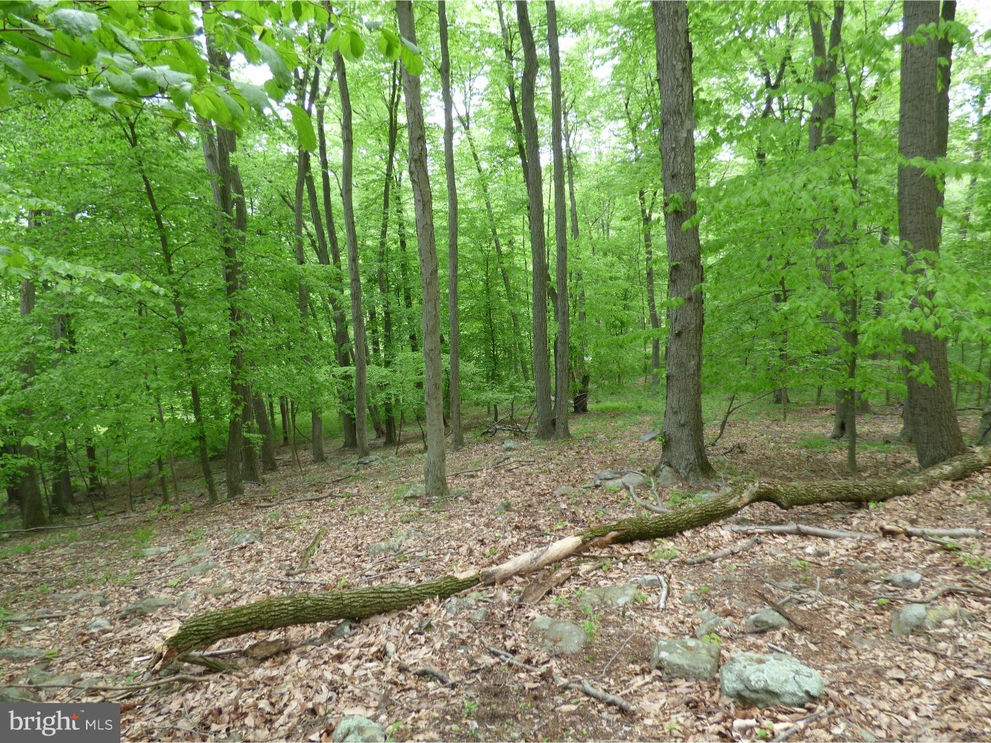 170 Iron Bridge Road Glenmoore, PA 19343 - Photo 6 of 21 Gallery Image 6