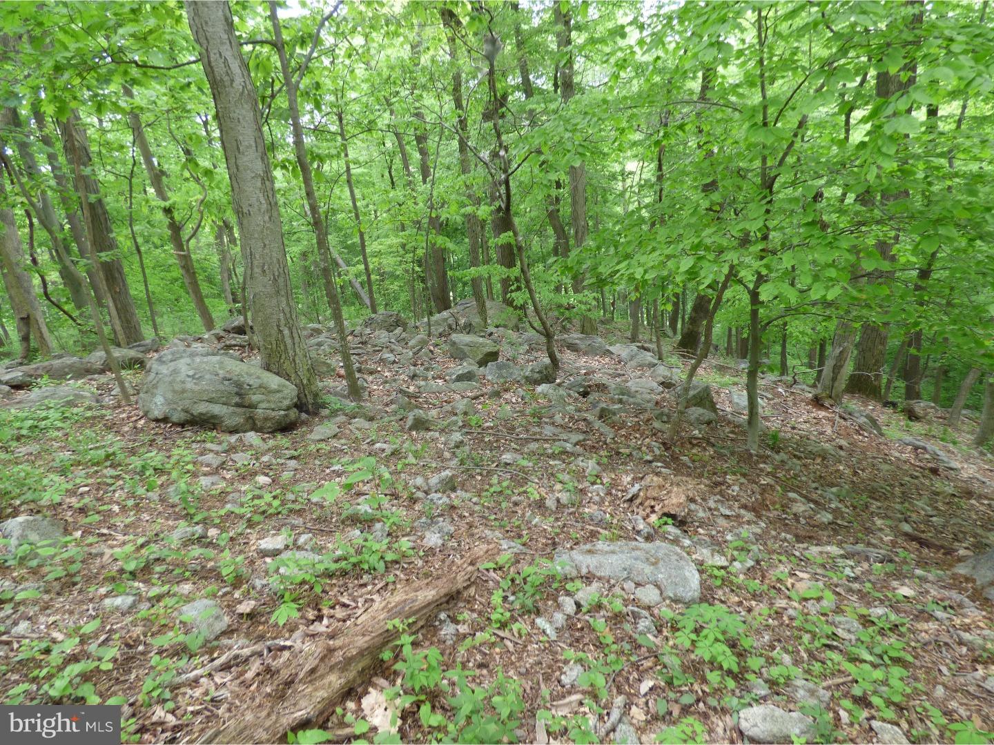 170 Iron Bridge Road Glenmoore, PA 19343 - Photo 7 of 21 Gallery Image 7