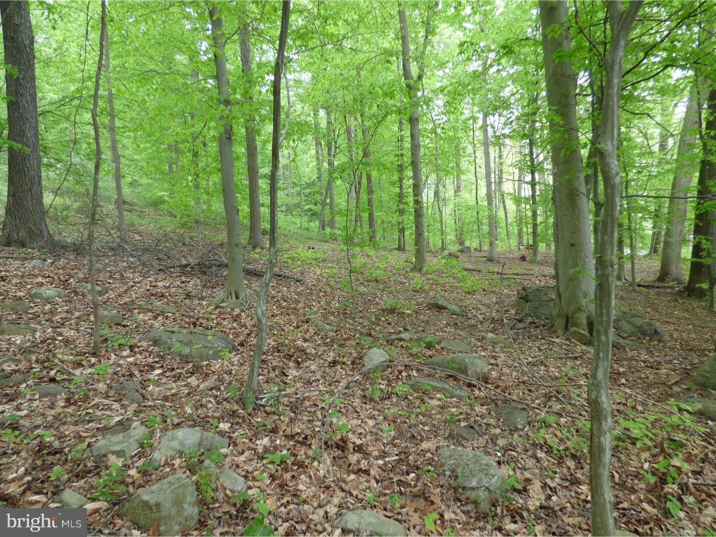 170 Iron Bridge Road Glenmoore, PA 19343 - Photo 8 of 21 Gallery Image 8