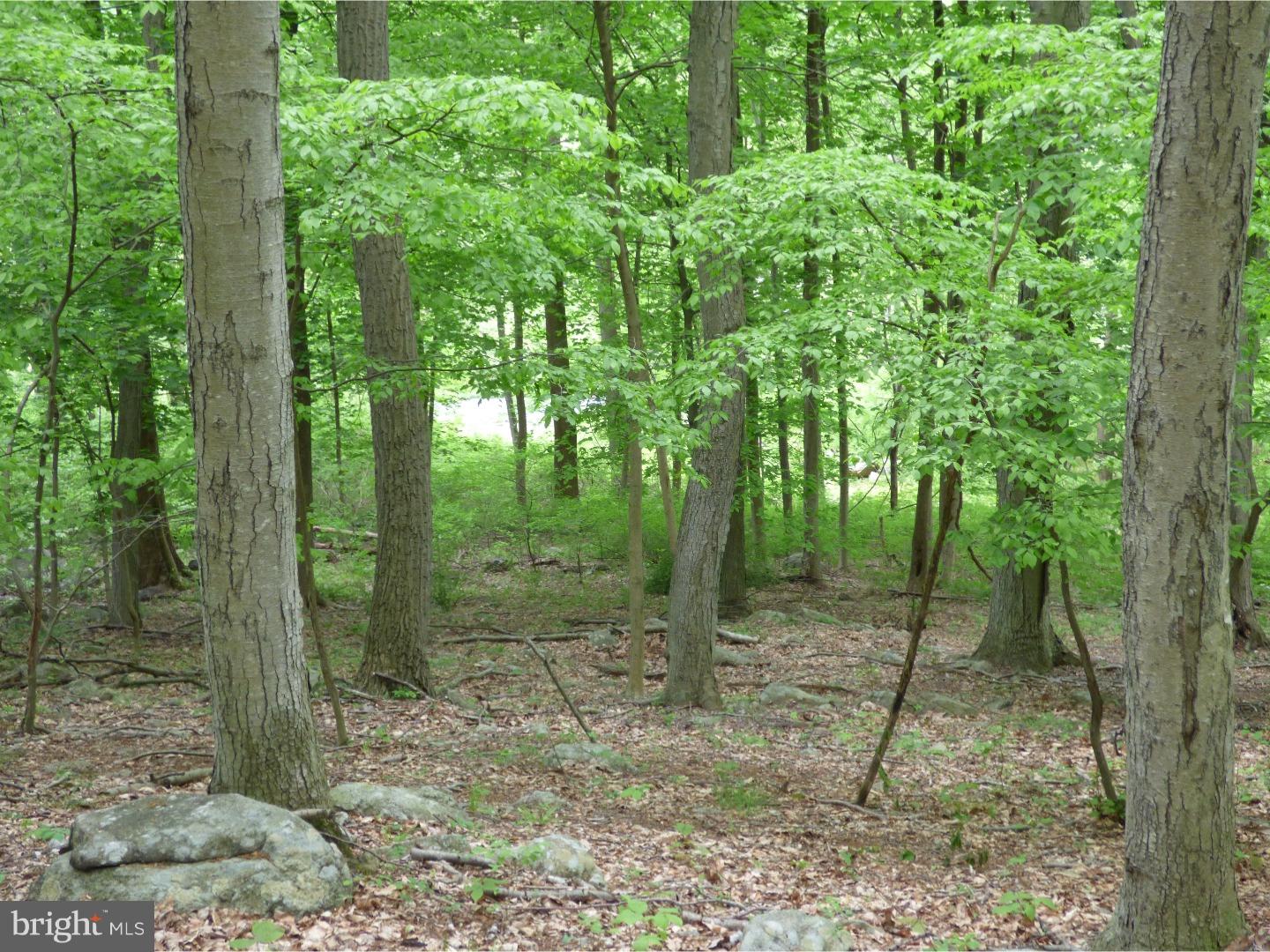 170 Iron Bridge Road Glenmoore, PA 19343 - Photo 9 of 21 Gallery Image 9