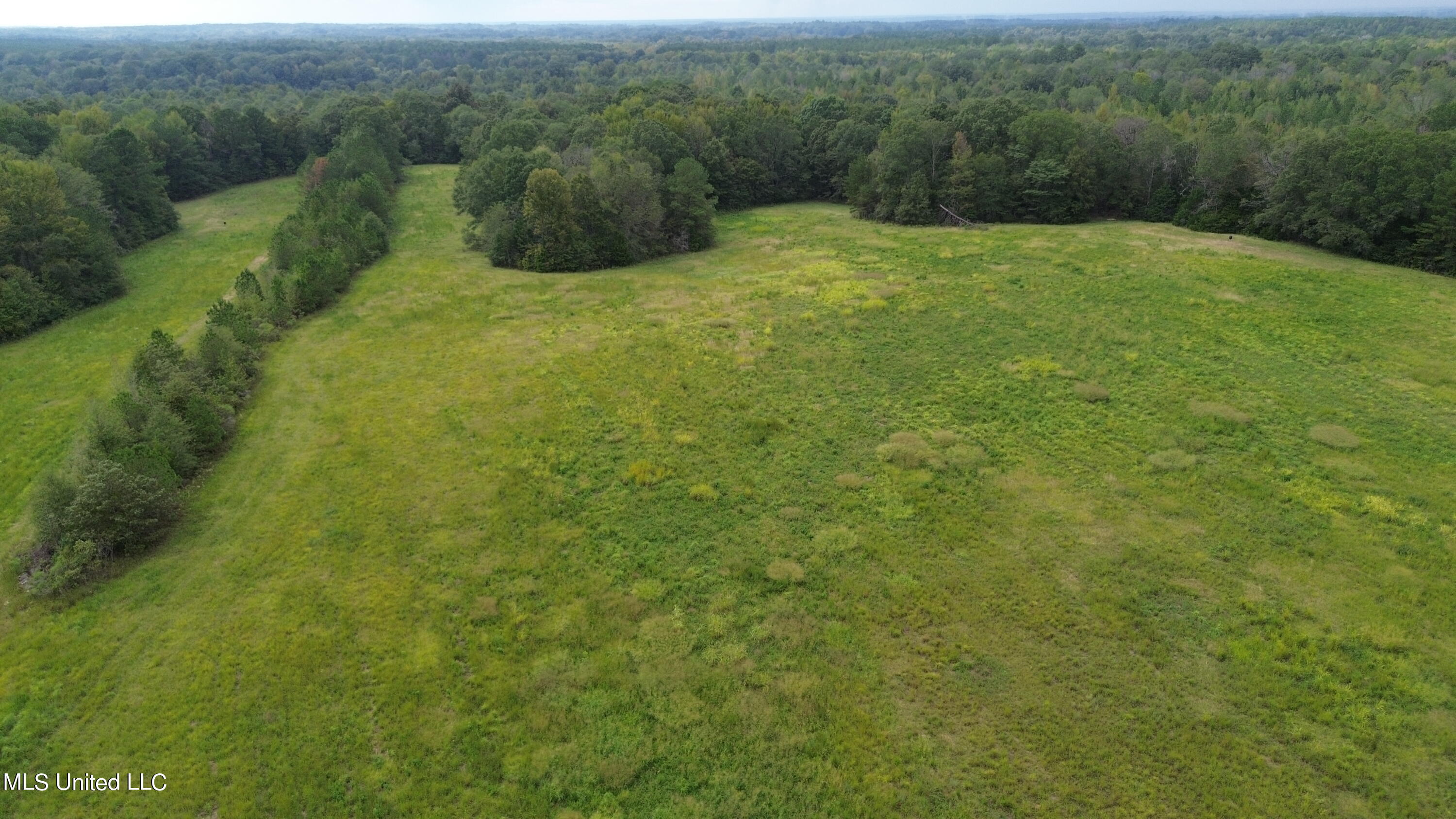 2163 Sharon Road Canton, MS 39046 - Photo 2 of 6 DJI_0192