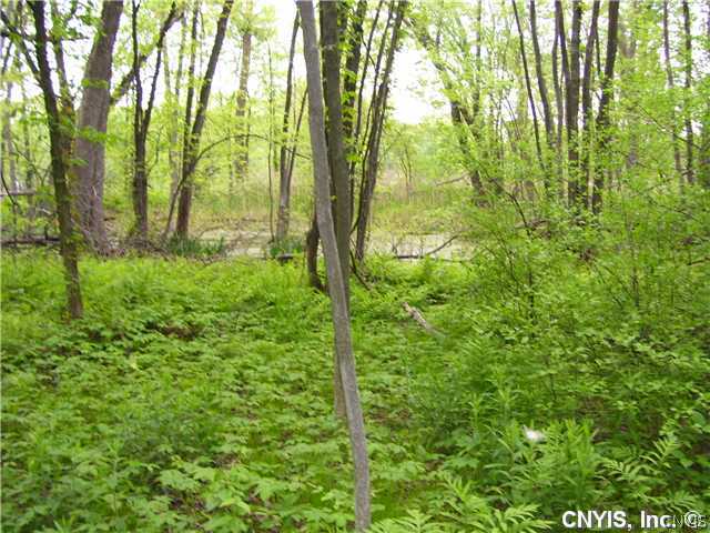 Lot 133 Smith Point Road West Monroe, NY 13167 - Photo 1 of 1 Land