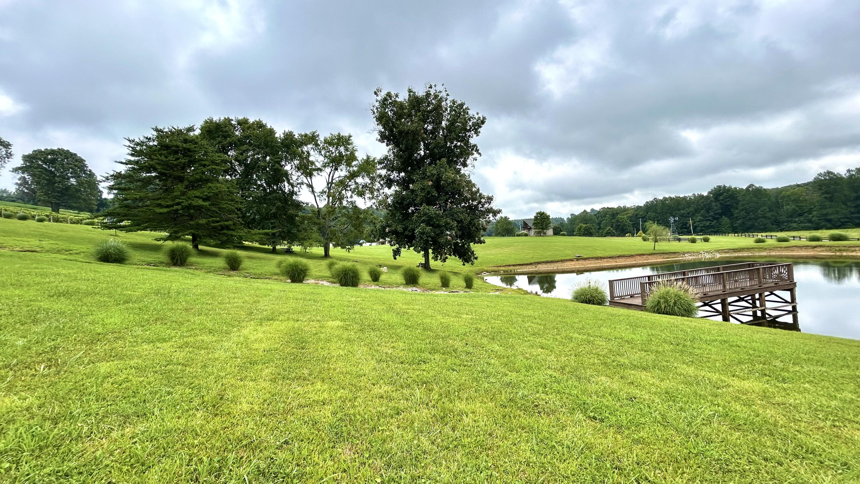 45 Cave Hill Road Eubank, KY 42567 - Photo 130 of 135 IMG_8891
