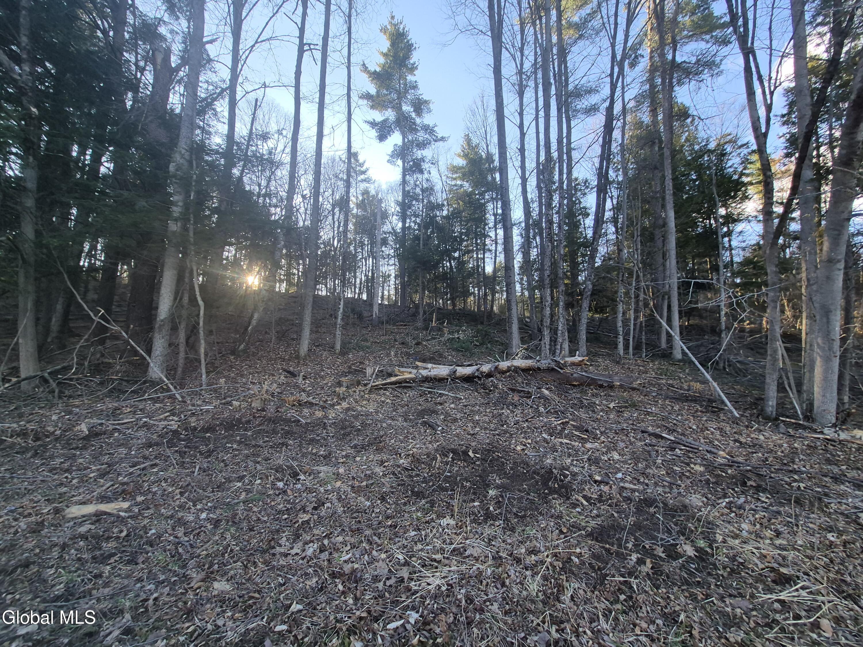 L-2.3 Goodman Road Fort Ann, NY 12827 - Photo 11 of 13 Woods.