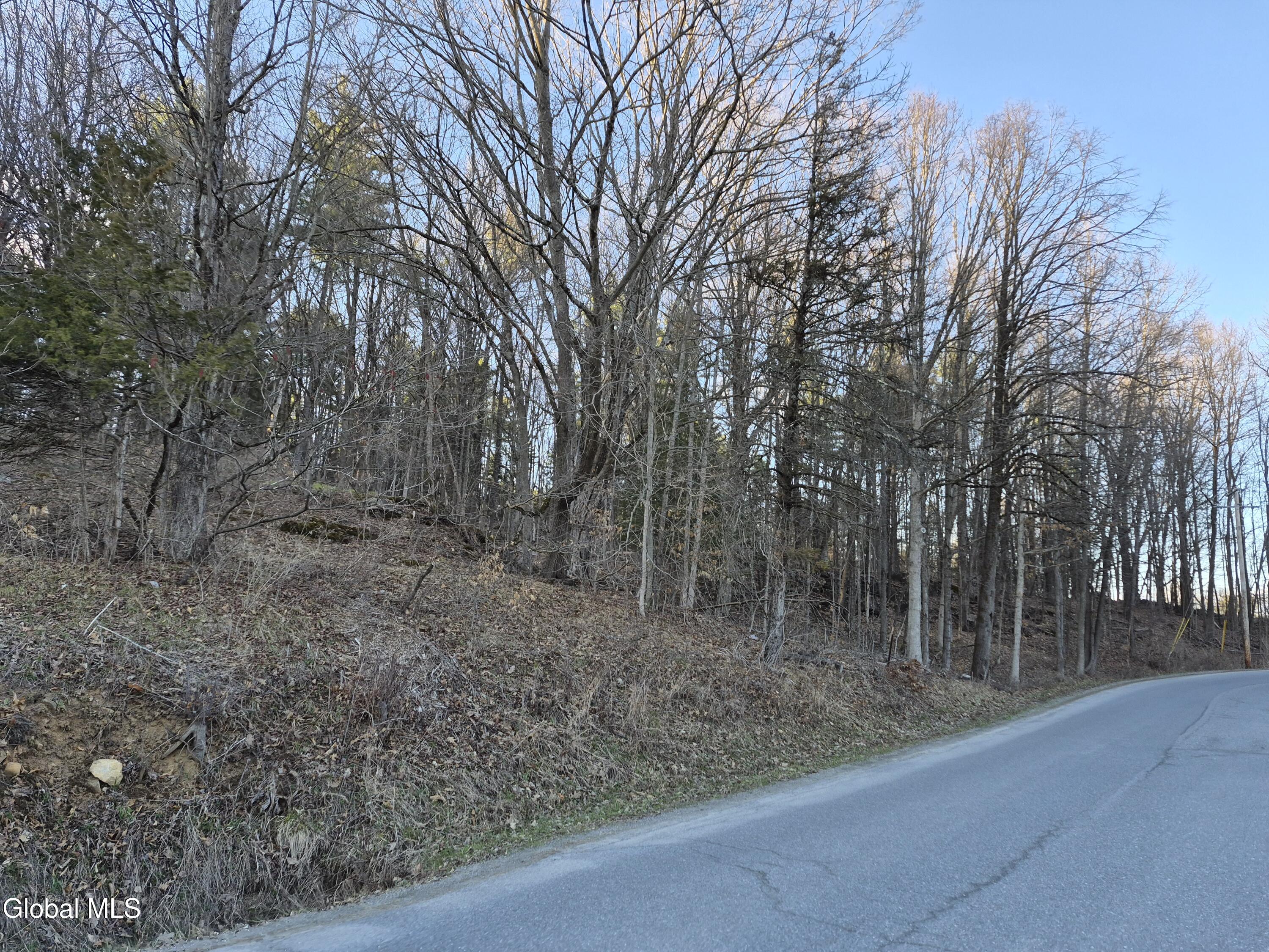 L-2.3 Goodman Road Fort Ann, NY 12827 - Photo 12 of 13 Part of the road frontage.