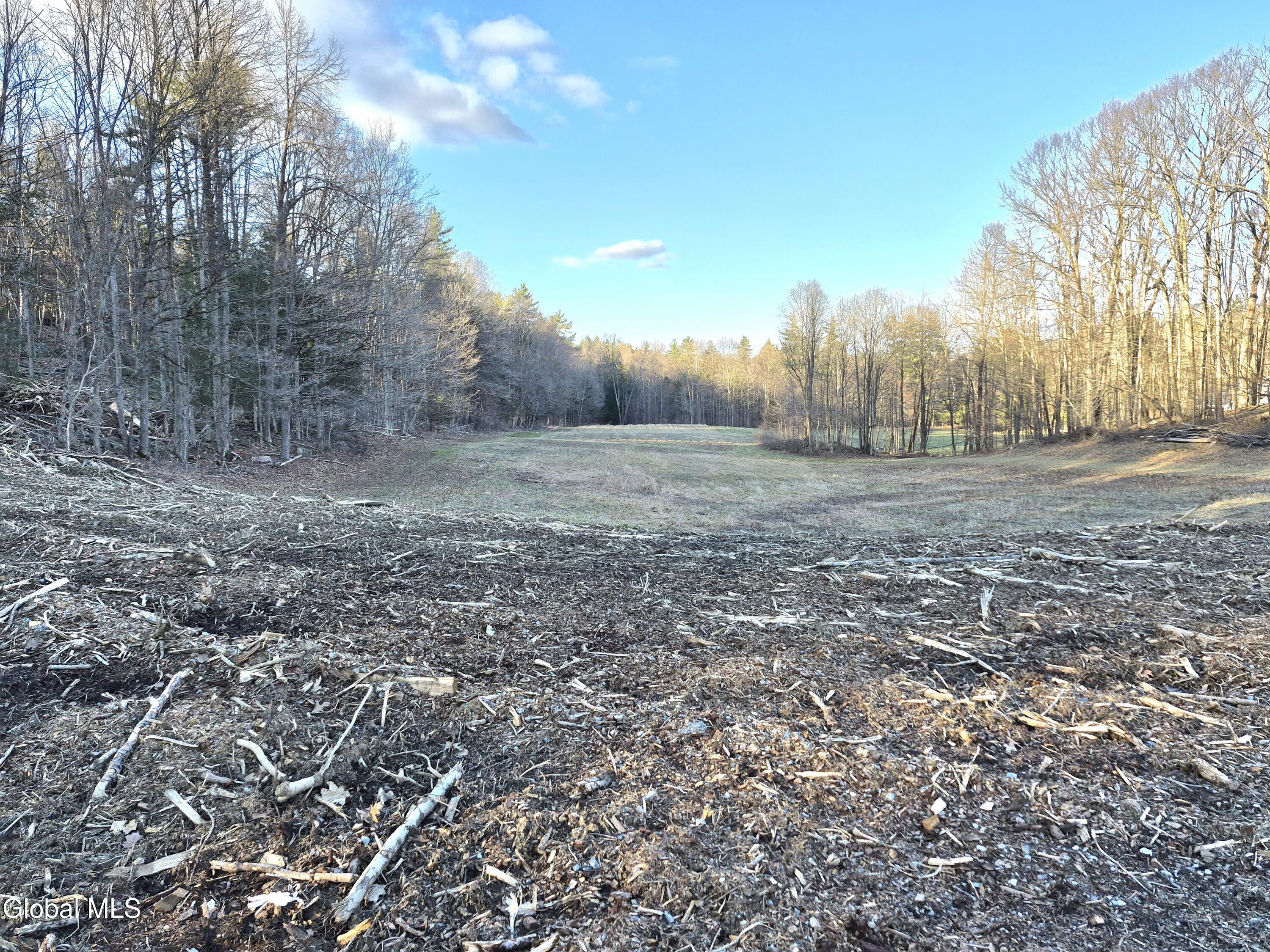 L-2.3 Goodman Road Fort Ann, NY 12827 - Photo 5 of 13 Some views