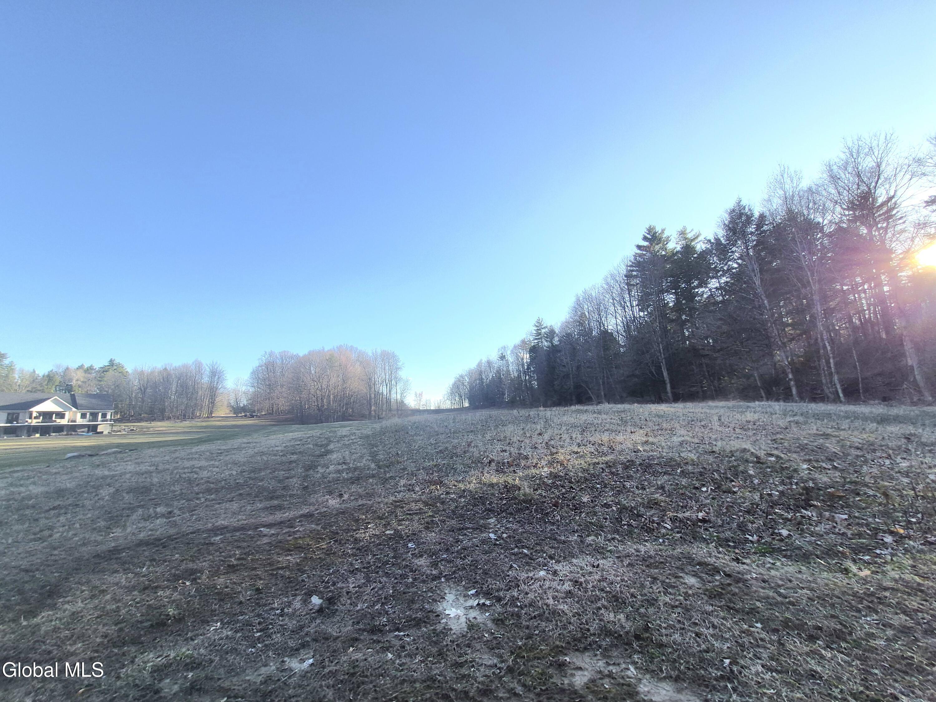 L-2.3 Goodman Road Fort Ann, NY 12827 - Photo 6 of 13 Clearing