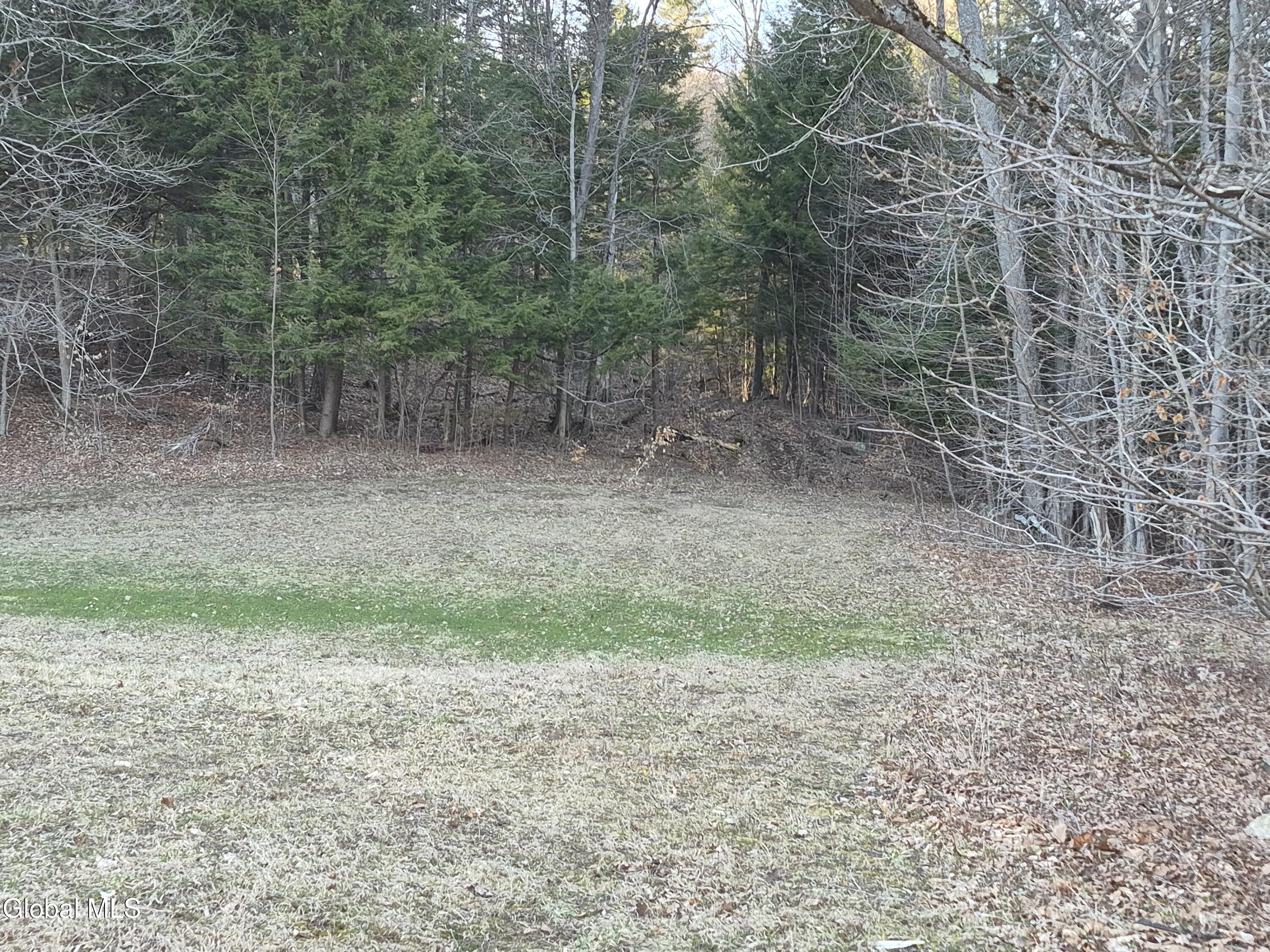 L-2.3 Goodman Road Fort Ann, NY 12827 - Photo 8 of 13 Back of the lot clearing earing