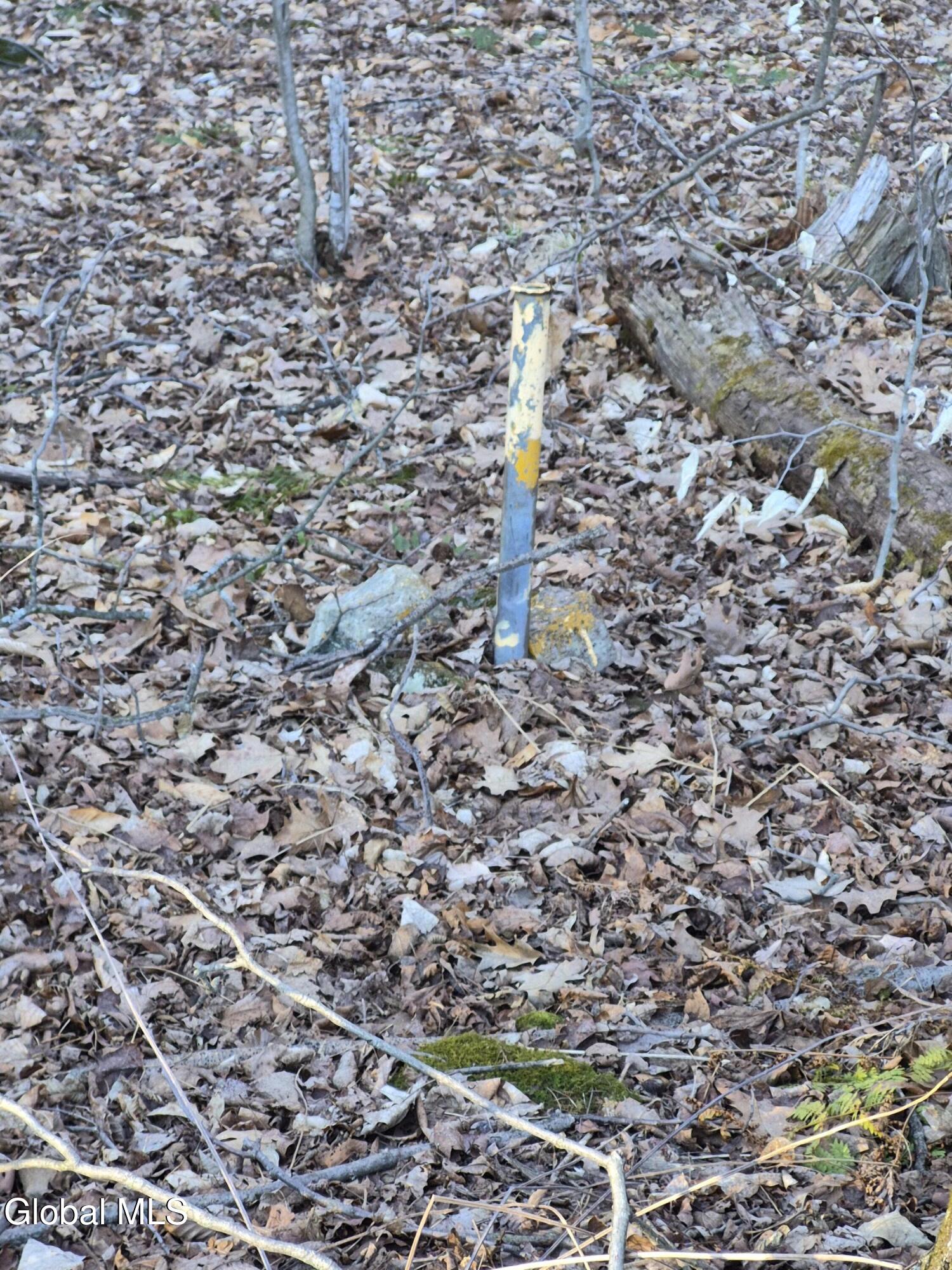 L-2.3 Goodman Road Fort Ann, NY 12827 - Photo 9 of 13 Front right marker