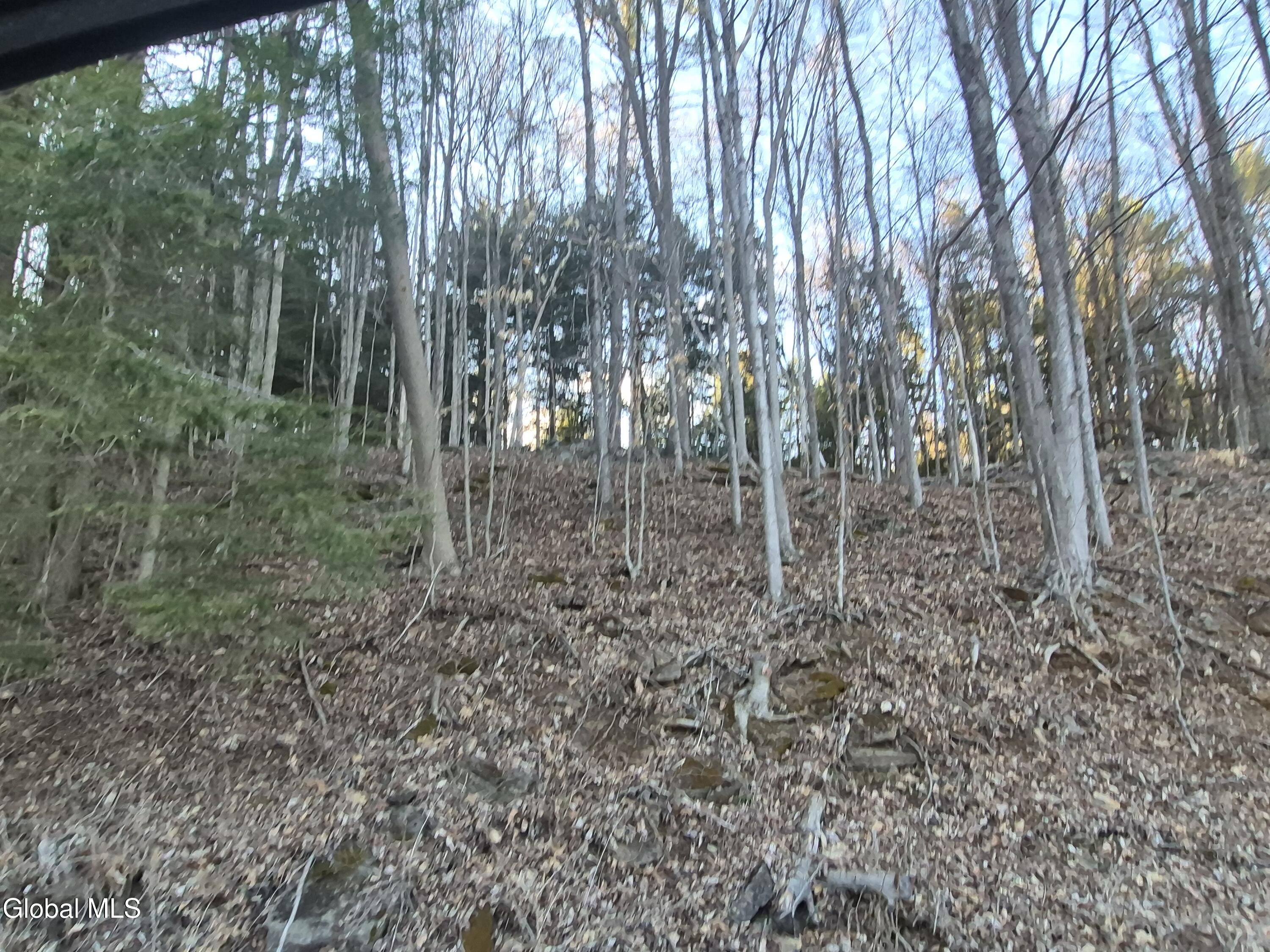 L-2.3 Goodman Road Fort Ann, NY 12827 - Photo 10 of 13 20260411_183757