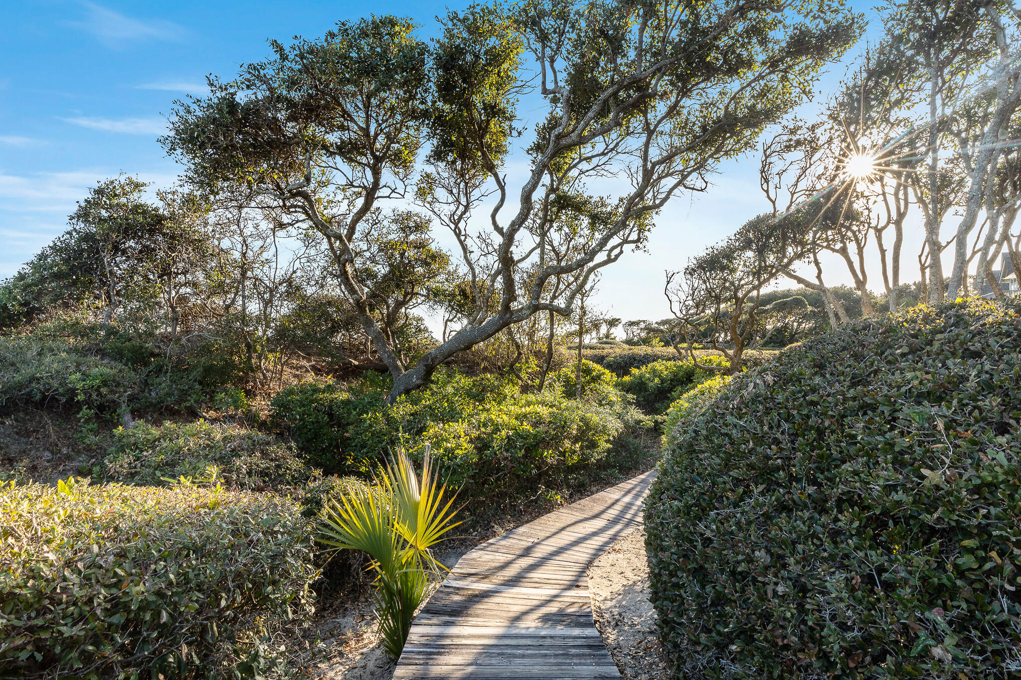 3554 Shipwatch Road Kiawah Island, SC 29455 - Photo 24 of 37 Additional Photo
