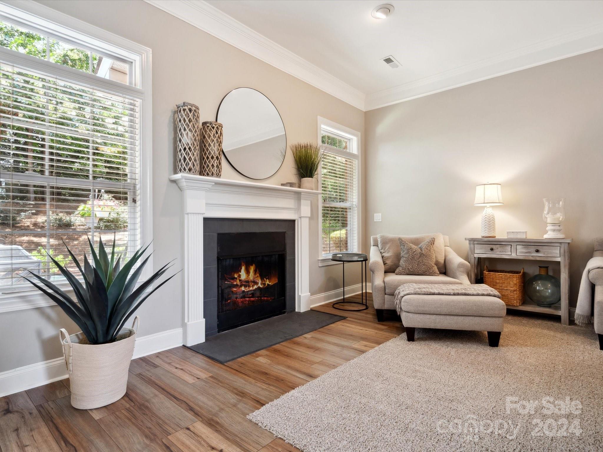 166 Zimmerman Drive Fort Mill, SC 29708 - Photo 7 of 30 a living room with furniture a fireplace and a potted plant