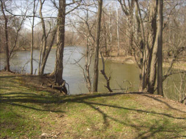 5810 South Custer Road Monroe, MI 48161 - Photo 6 of 19 20398068-5.JPG