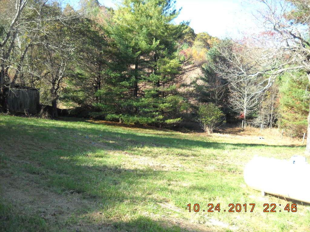 1590 Cox Store Road Southwest Floyd, VA 24091 - Photo 5 of 25 a view of swimming pool with a yard and large trees