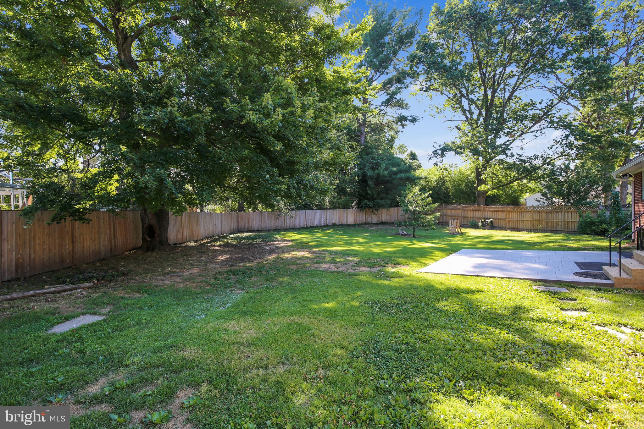 6729 Front Royal Road Springfield, VA 22151 - Photo 30 of 30 Backyard